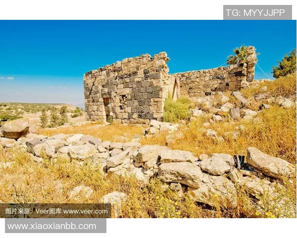 海达拉的魅力探索：揭示这座城市的历史文化与现代发展之美