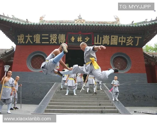 探索少林寺官方网站的智慧与武术魅力，感受千年文化的深厚底蕴与现代传承