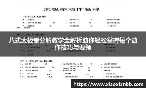 八式太极拳分解教学全解析助你轻松掌握每个动作技巧与要领